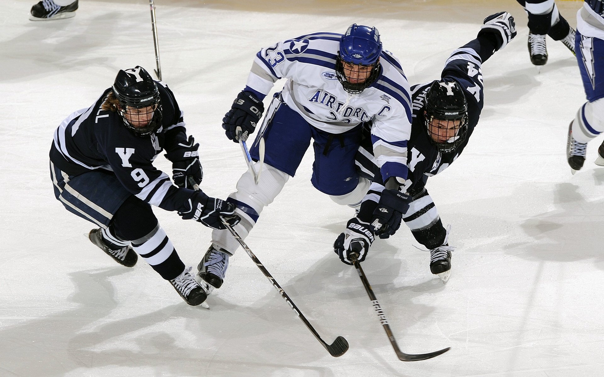 澳洲球队逆袭夺冠,激励更多球迷,澳洲篮球联赛什么水平