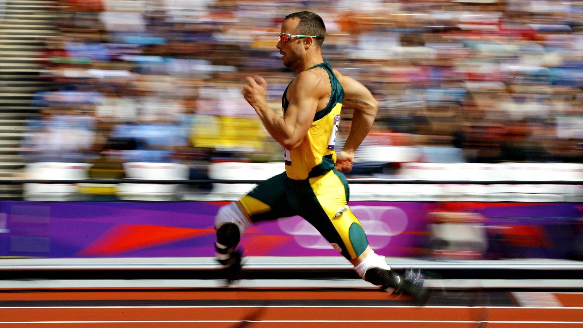 NBA的“绿色使命”：推动可持续发展的环保行动，绿色nba球队